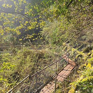 実際訪問したユーザーが直接撮影して投稿した山 / 峠如法山の写真