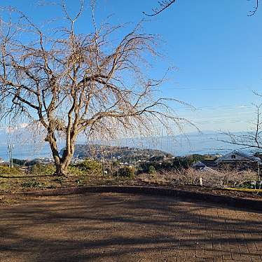 実際訪問したユーザーが直接撮影して投稿した吉浜公園ゆめ公園(湯河原総合運動公園)の写真