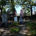 実際訪問したユーザーが直接撮影して投稿した二葉の里神社饒津神社の写真