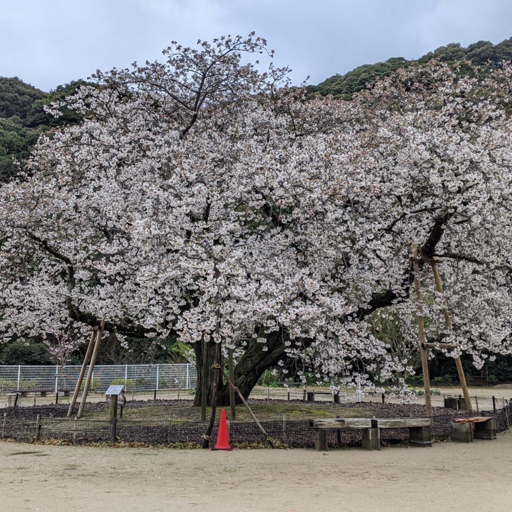 実際訪問したユーザーが直接撮影して投稿した山 / 峠衣干山の写真