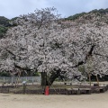 実際訪問したユーザーが直接撮影して投稿した山 / 峠衣干山の写真