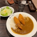 ポークカレー - 実際訪問したユーザーが直接撮影して投稿した鶴屋町カレーカレーハウス CoCo壱番屋 横浜鶴屋町店の写真のメニュー情報