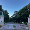 実際訪問したユーザーが直接撮影して投稿した別府公園別府公園の写真