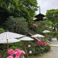 実際訪問したユーザーが直接撮影して投稿した岡寺岡寺の写真