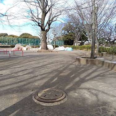 実際訪問したユーザーが直接撮影して投稿した岸根町公園ゆうゆう広場の写真