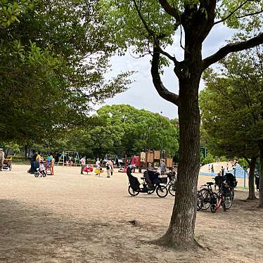 実際訪問したユーザーが直接撮影して投稿した長居公園公園南こども広場の写真