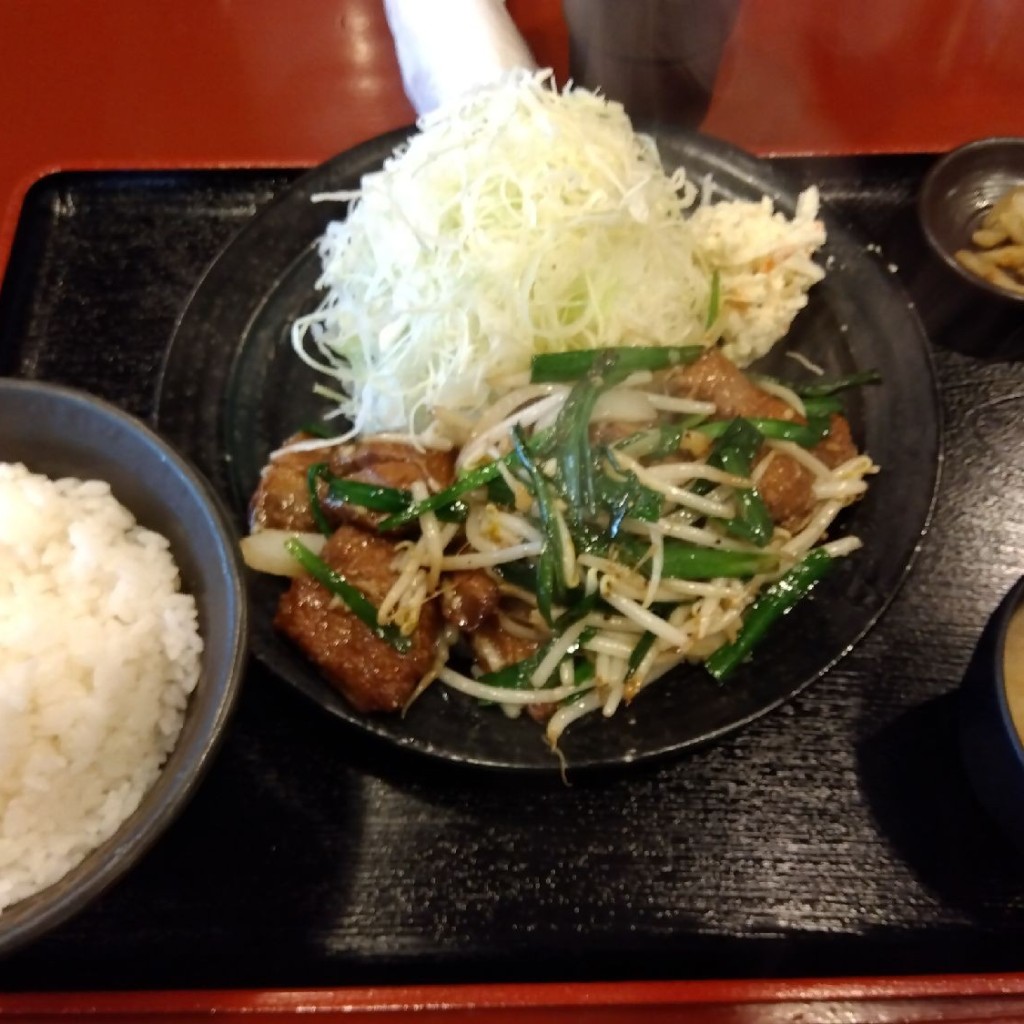 ユーザーが投稿したレバニラの写真 - 実際訪問したユーザーが直接撮影して投稿した坂井砂山中華料理筋肉食堂 吉田屋の写真