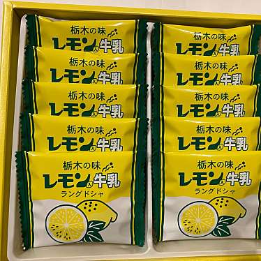 実際訪問したユーザーが直接撮影して投稿した大谷町体験 / 広報館ベルテラシェ大谷の写真