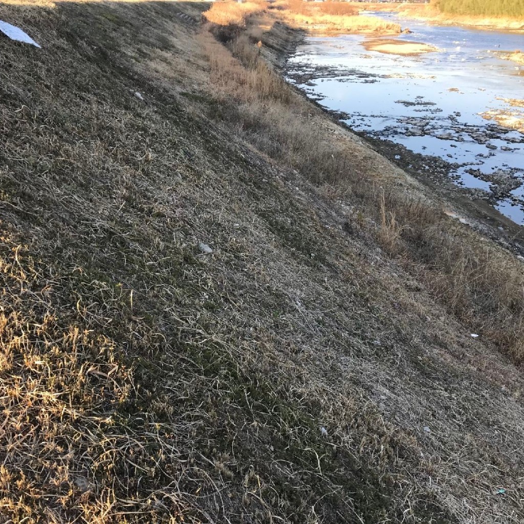 実際訪問したユーザーが直接撮影して投稿した上比延町公園第1号加古川上流河川敷緑地の写真