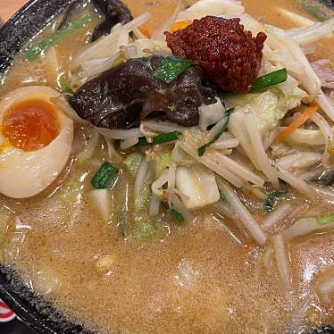 実際訪問したユーザーが直接撮影して投稿したなないろの里ラーメン専門店ラーメン大志軒 荒井店の写真