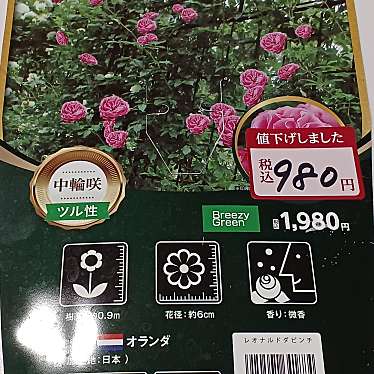 実際訪問したユーザーが直接撮影して投稿した東本成寺ホームセンターコメリパワー 三条四日町店の写真