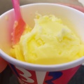 実際訪問したユーザーが直接撮影して投稿した赤池町アイスクリームサーティワンアイスクリーム プライムツリー赤池店の写真