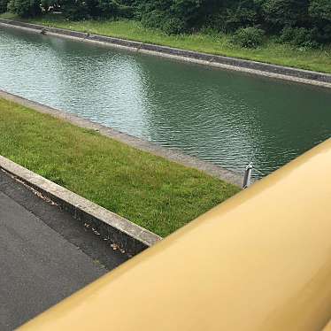 実際訪問したユーザーが直接撮影して投稿した瀬田公園唐橋公園の写真