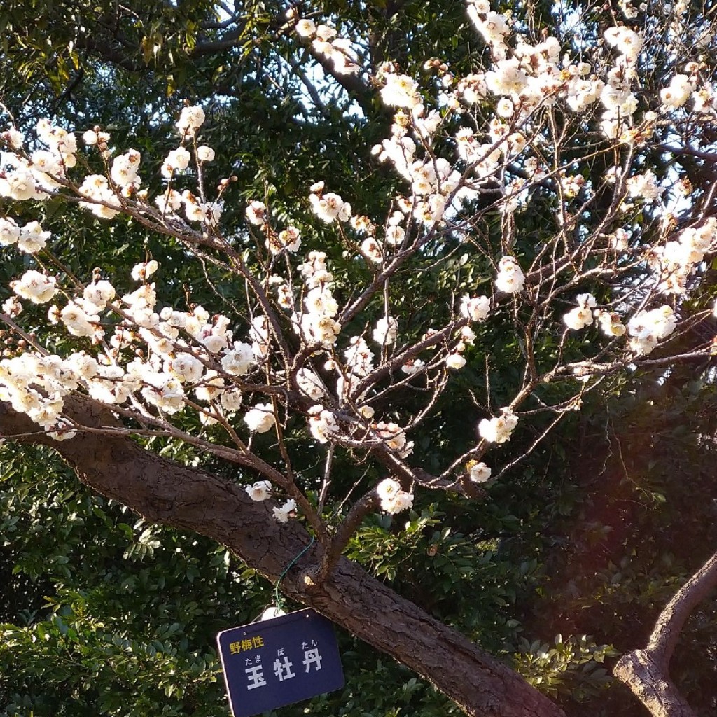 実際訪問したユーザーが直接撮影して投稿した南町博物館府中市郷土の森博物館の写真