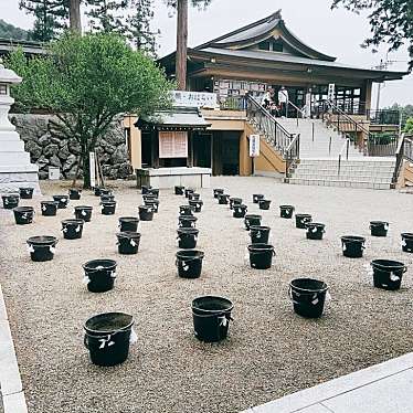 実際訪問したユーザーが直接撮影して投稿した新堀神社高麗神社の写真