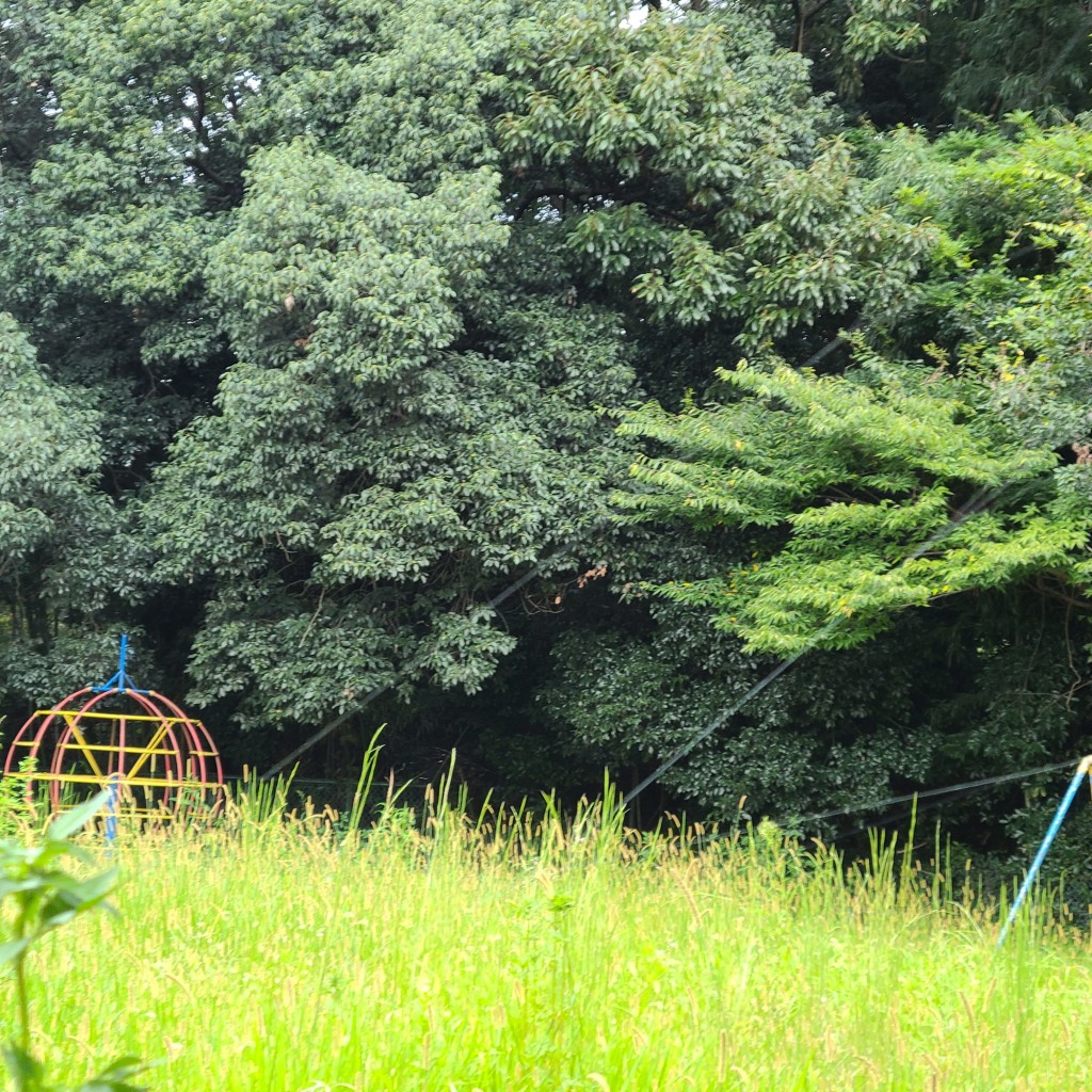 実際訪問したユーザーが直接撮影して投稿した賀茂町公園賀茂公園の写真