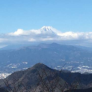 実際訪問したユーザーが直接撮影して投稿した山 / 峠葛城山の写真