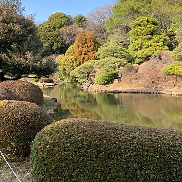 小石川植物園 日本庭園のundefinedに実際訪問訪問したユーザーunknownさんが新しく投稿した新着口コミの写真
