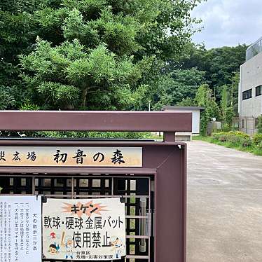 実際訪問したユーザーが直接撮影して投稿した谷中公園防災広場初音の森の写真