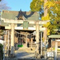 実際訪問したユーザーが直接撮影して投稿した登戸神社稲荷神社の写真