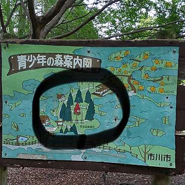 実際訪問したユーザーが直接撮影して投稿した柏井町公園青少年の森の写真