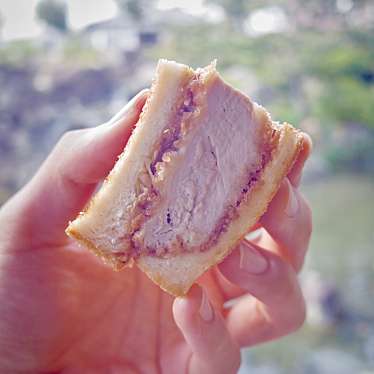 実際訪問したユーザーが直接撮影して投稿した中尾町サンドイッチかつサンド工房 PANTONの写真