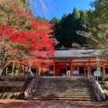 実際訪問したユーザーが直接撮影して投稿した高野山寺奥之院の写真