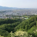 実際訪問したユーザーが直接撮影して投稿した万田公園高麗山公園の写真