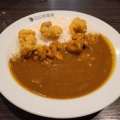 ポークカレー - 実際訪問したユーザーが直接撮影して投稿した温品カレーCoCo壱番屋 フォレオ広島東店の写真のメニュー情報