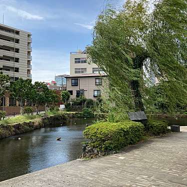 実際訪問したユーザーが直接撮影して投稿した大宮町公園菰池公園の写真