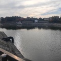 実際訪問したユーザーが直接撮影して投稿した河川ニテコ池の写真