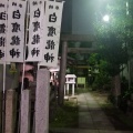 実際訪問したユーザーが直接撮影して投稿した名駅南神社白鷹龍神の写真