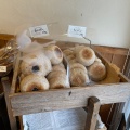 実際訪問したユーザーが直接撮影して投稿した小町ベーグル天然酵母パン工房 KIBIYAベーカリー 段葛店の写真