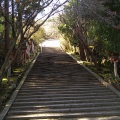 実際訪問したユーザーが直接撮影して投稿した嵐山虚空蔵山町寺法輪寺の写真