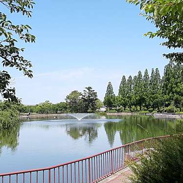 実際訪問したユーザーが直接撮影して投稿した生江公園城北公園の写真