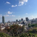 実際訪問したユーザーが直接撮影して投稿した北野神社北野天満宮の写真