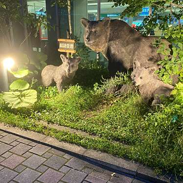 実際訪問したユーザーが直接撮影して投稿した鶴丘8線オブジェモニュメント 北の動物たち (ヒグマ)の写真