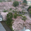 実際訪問したユーザーが直接撮影して投稿した公園町公園豊公園の写真