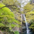 実際訪問したユーザーが直接撮影して投稿した箕面公園滝 / 渓谷箕面大滝の写真