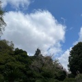 実際訪問したユーザーが直接撮影して投稿した白山植物園 / 樹木園小石川植物園の写真