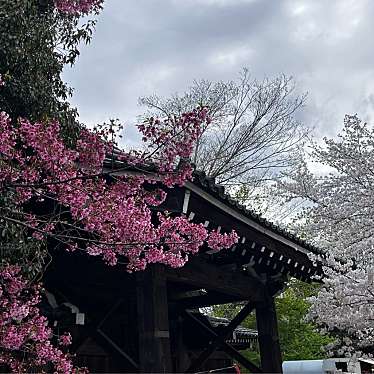 平野神社のundefinedに実際訪問訪問したユーザーunknownさんが新しく投稿した新着口コミの写真