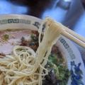 実際訪問したユーザーが直接撮影して投稿した穂積ラーメン / つけ麺とんこつのひろ うま馬分店の写真