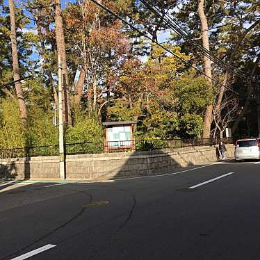 ぶどううり・くすこさんが投稿した熊野町神社のお店熊野神社/クマノジンジャの写真