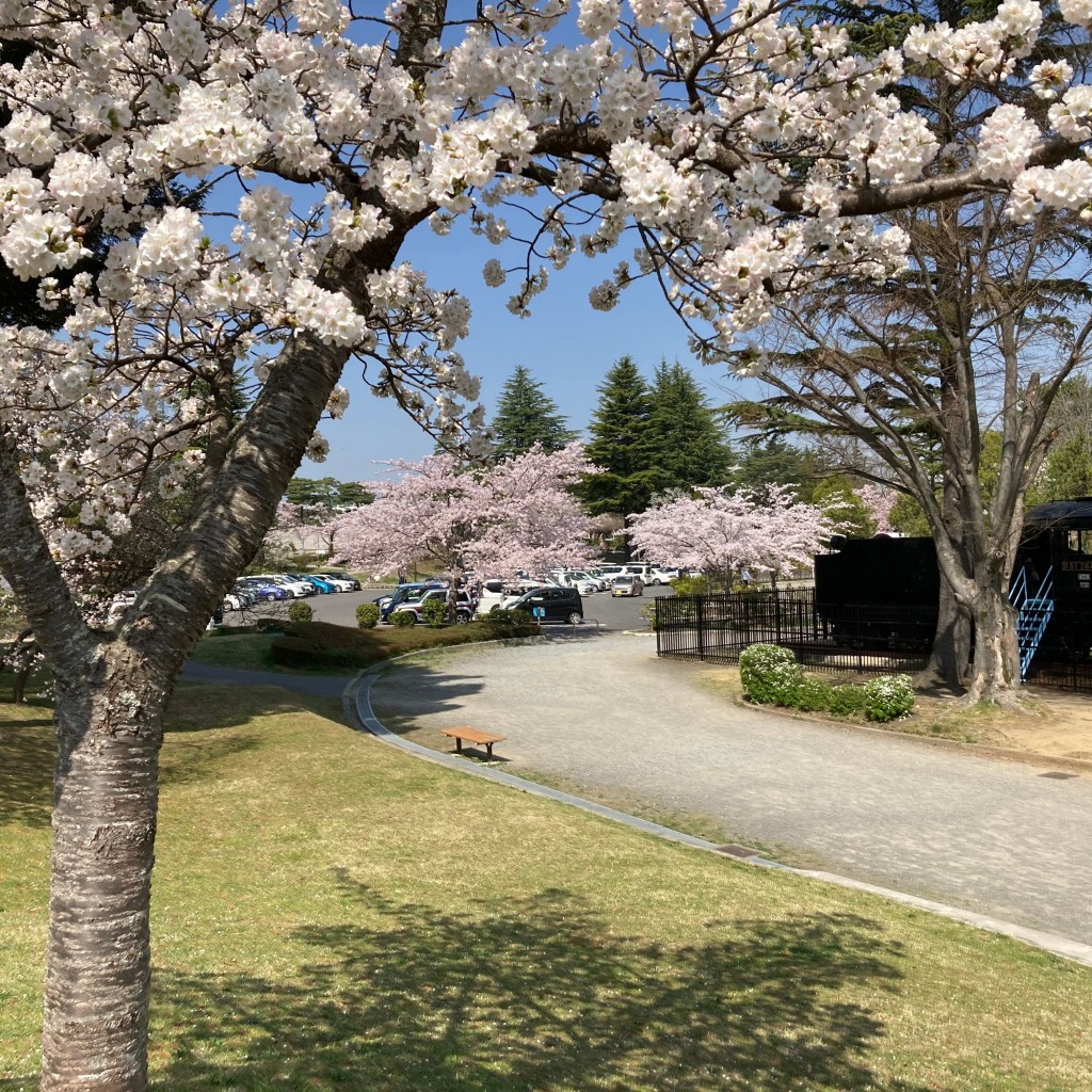 undefinedさんが投稿した開成公園のお店開成山公園/カイセイザンコウエンの写真