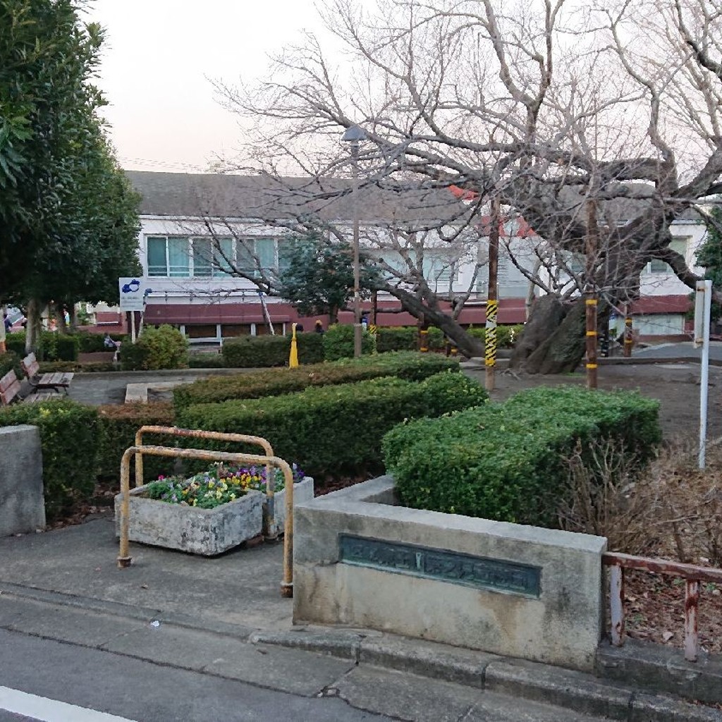 実際訪問したユーザーが直接撮影して投稿した東玉川公園東玉川第二公園の写真