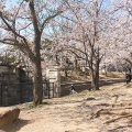 実際訪問したユーザーが直接撮影して投稿した向丘公園野畑南公園の写真