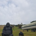 実際訪問したユーザーが直接撮影して投稿した高鷲町ひるがの高原ひるがのピクニックガーデンの写真