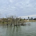 実際訪問したユーザーが直接撮影して投稿した七本木町公園七本木池公園の写真