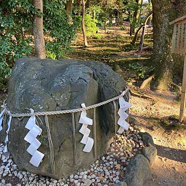 okometopanさんが投稿した上賀茂本山神社のお店上賀茂神社/カミガモ ジンジャの写真