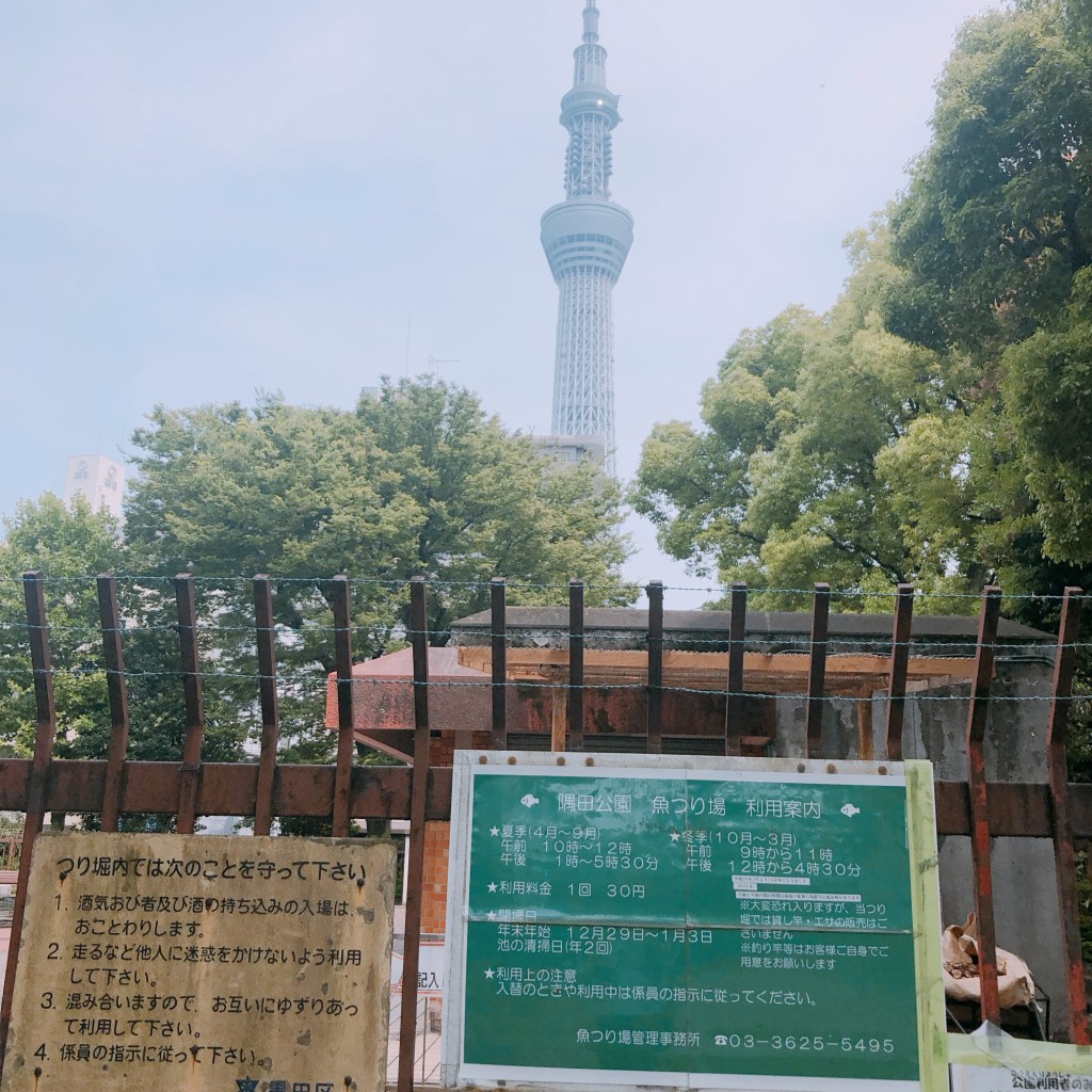 実際訪問したユーザーが直接撮影して投稿した向島釣り隅田公園 魚つり場の写真